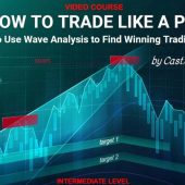 Trading Harmonic Elliott Waves like a PRO Course Download