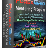 Avdo – Forex Grid Mentoring Program Download