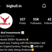 Big Bull. In Cryptocurrency Course Download