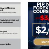 Forex Trading Course Level 2: Pip Netter – Piranha Profits Download