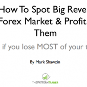 Mark Shawzin – The Pattern Trader Download