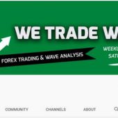 We Trade Waves Course Download