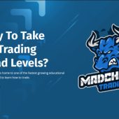 MadCharts Academy Download