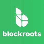 Blockroots The Foundation of Market Profile and Order Flow Trading Course