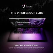 The Viper Group Advanced Course