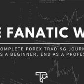 Trading Fanatic Way Course