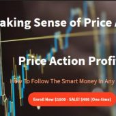 Making Sense of Price Action – Price Action Profits Course Free Download