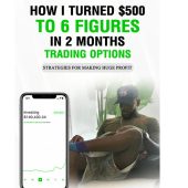 The Money Printers – How I Turned $500 to 6 Figures in 2 months Trading Options Course