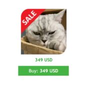 Hunting Cat Scalper